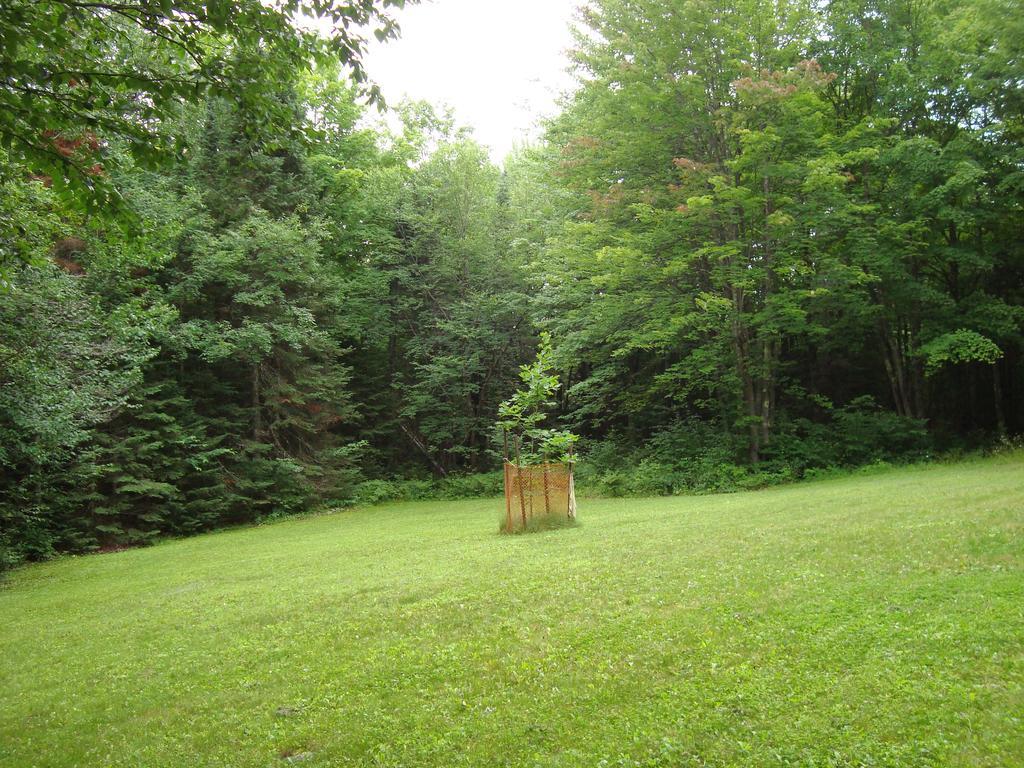 Grandpa Jim'S Cabin Montreal Exterior photo